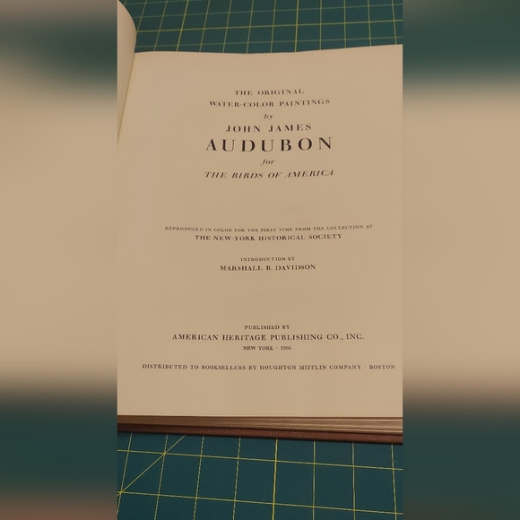 King Rail and Green Heron After Audubon - Picture 3 of 4